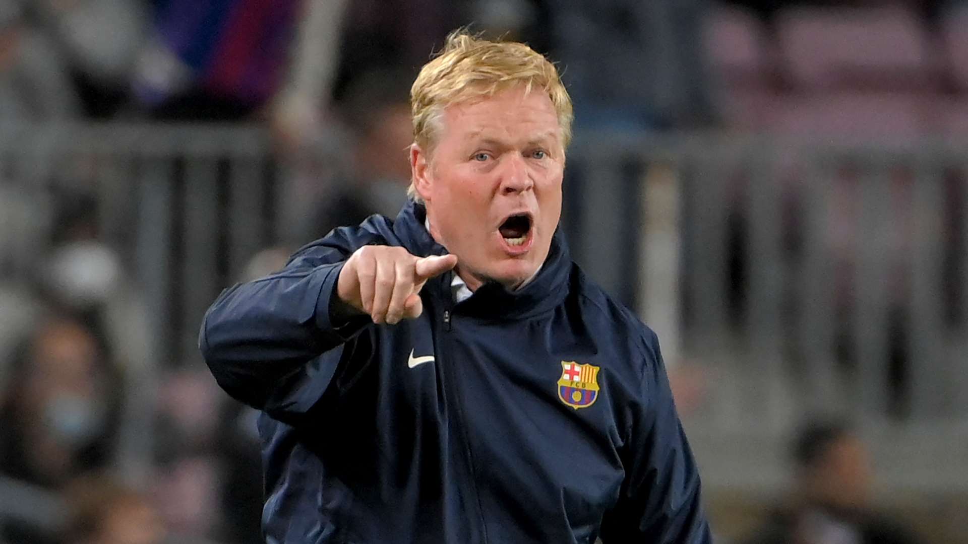 练的形象树 练的形象树